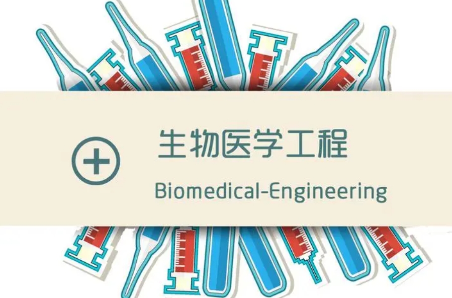 生物医学工程