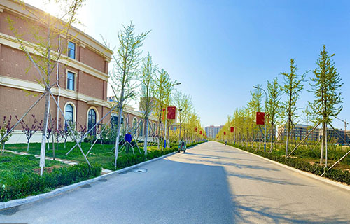 烟台黄金职业学院