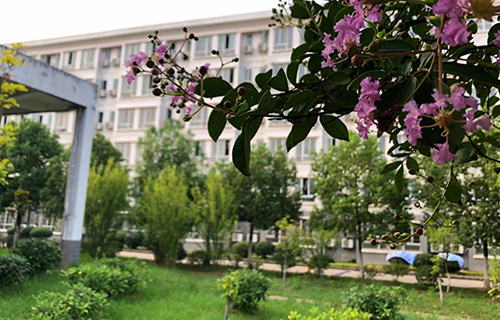 肥城市第二职业高级中学
