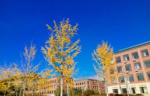 肥城市技工学校