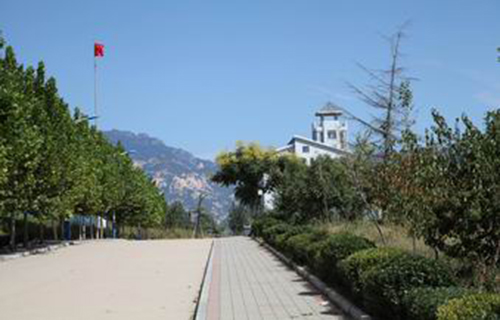 泰山护理职业学院