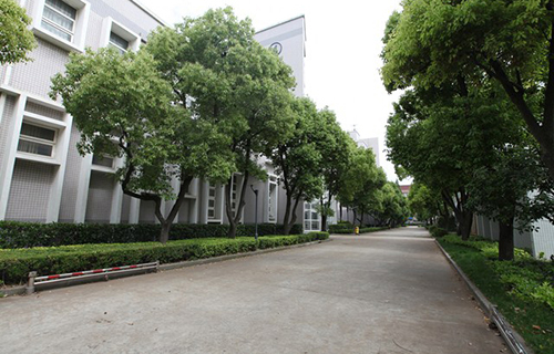 邱县职教中心